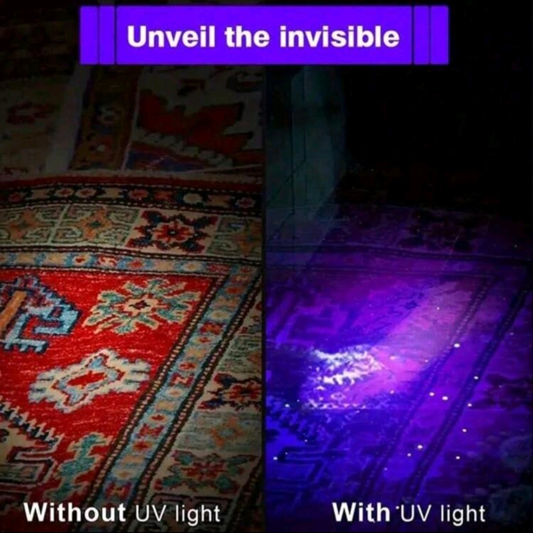 UV 395nm Detection Penlight (2×AAA Battery Powered) – Black (Large) - Image 7